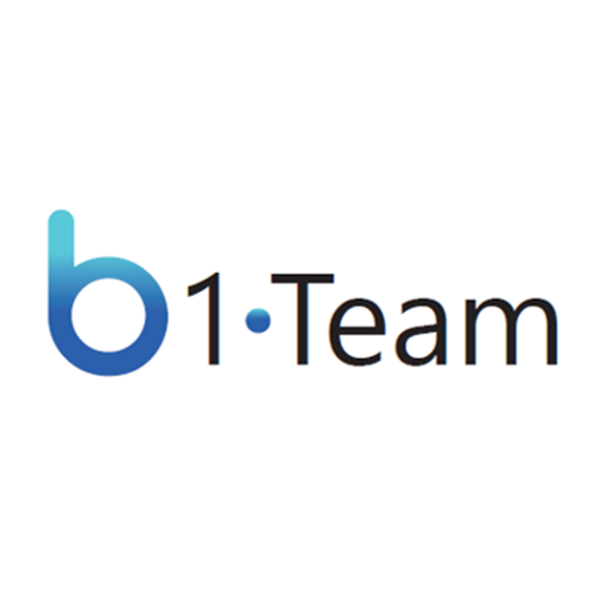 b1 Team